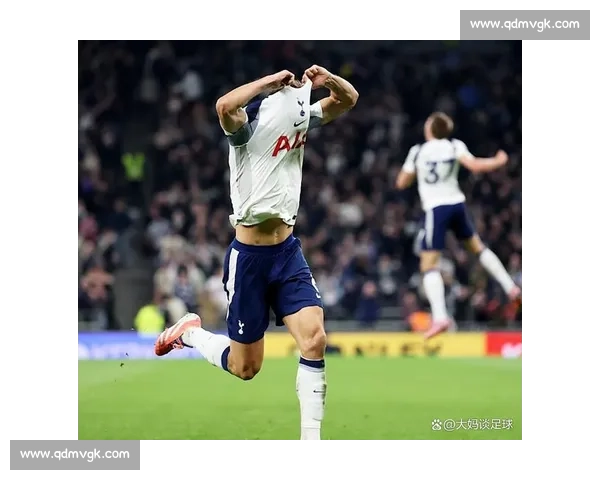 帕利尼亚：埃弗顿主场零封不易，热刺值得掌声